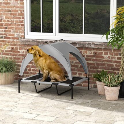 2 451b66fb ed86 4314 aeff 8bbdf3b9c809