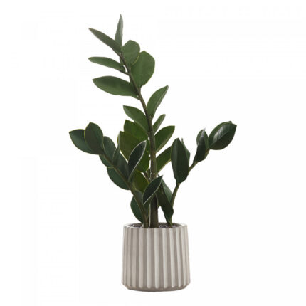 2 ed976c91 0f3e 4c47 8723 d272b5c2ccd3