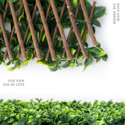 3 Gardeniawillow view