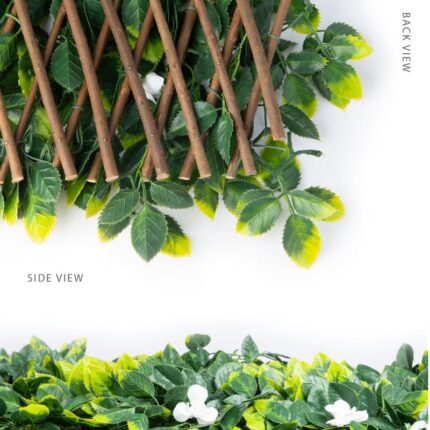 3 Rosewillow view