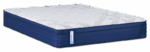 PNG SEALY LAMBTON MATT AC
