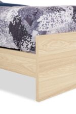 rileotbd detail cfe9051d e11b 4a88 8eba 20a2bc87b77c