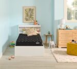shopify image 027fe519 e7f9 4a2c bdd6 580f29fb77b3