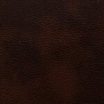 shopify image 8acfd6d6 b474 4c3e 937c d2b1a3edee3d