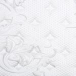 shopify image 8b3eaa00 17c0 44e7 aaf8 19890c8864e1