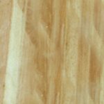 shopify image 92a05267 16a7 4696 86cc 7a320164c757
