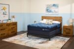 shopify image 9558eef5 d1fa 42b2 8b75 d083a46d40ca