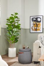 vangrott vig 02